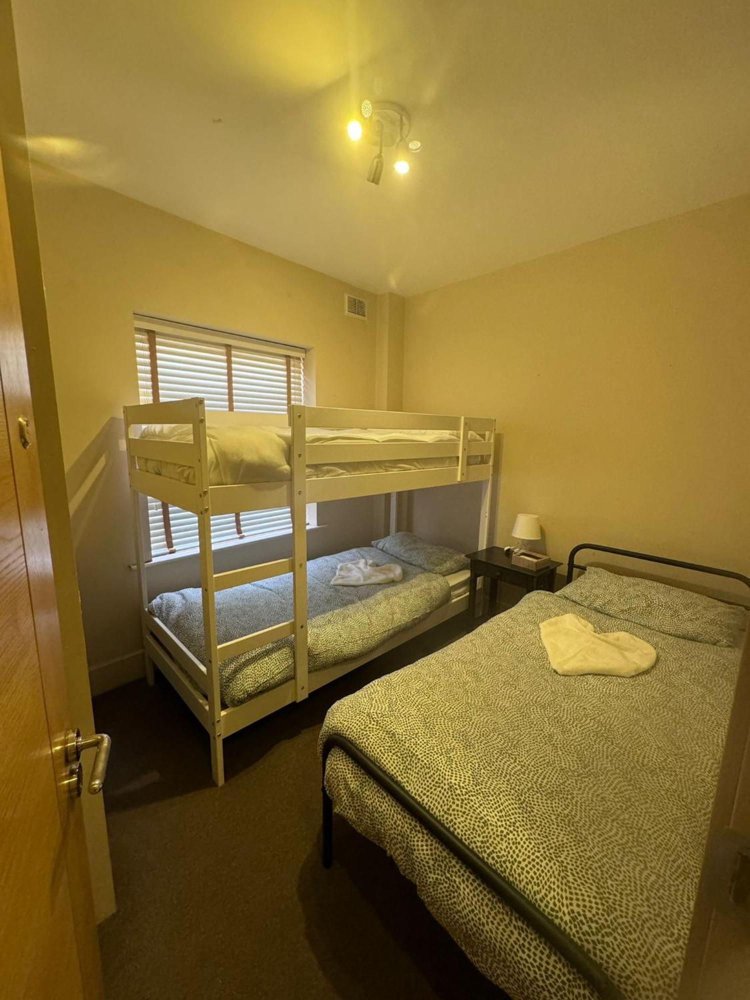 House Close Temple Bar Very Spacious Holiday home Dublin