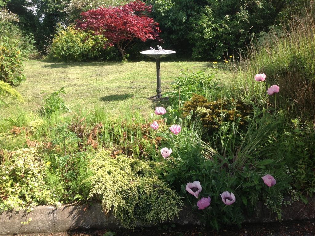 Bed & Breakfast Bearna Rua Dublin