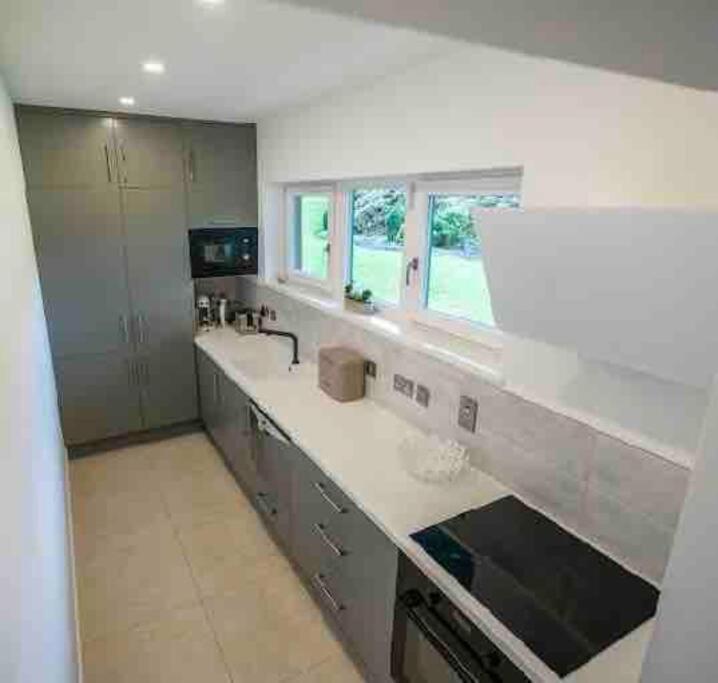 Beautiful Garden With Private Patio And Garden View Dublin