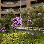 Guestready - Beautiful Apartment On Dublin Coast