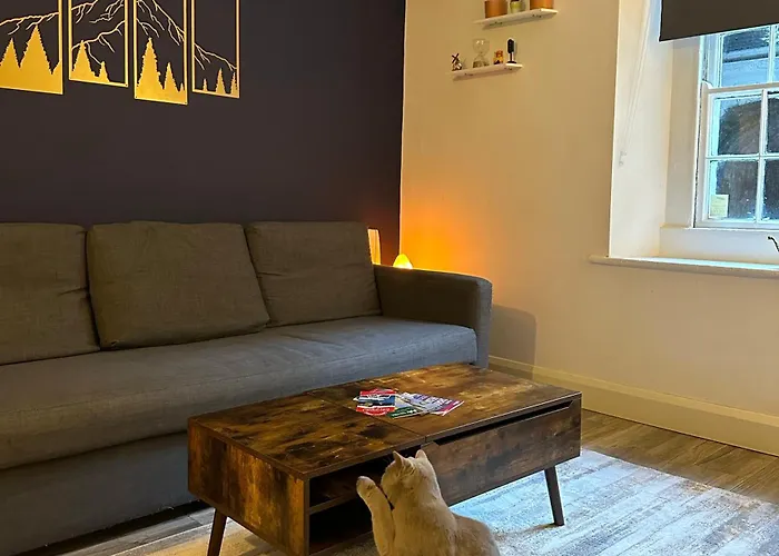 Entire Apartment In Dublin