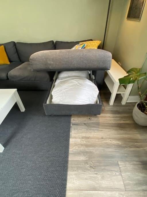 The Stillorgan Village Apartment