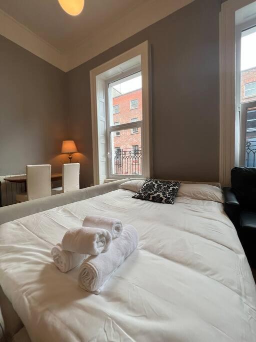 The Flat In Temple Bar Area. Dublin