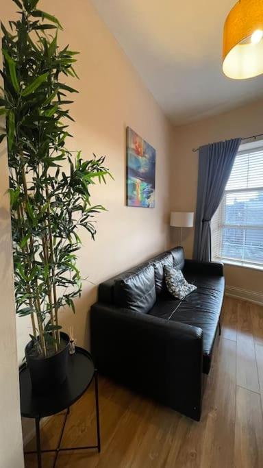 City Gem - Central & Stylish 1 Bed Apartment Dublin