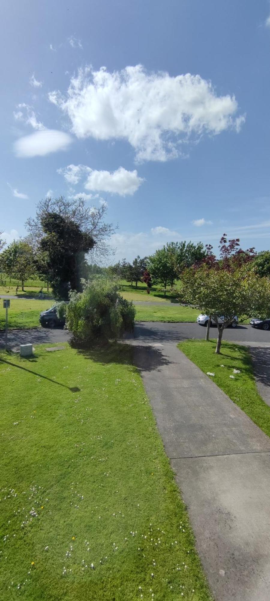 Adaline House Dublin