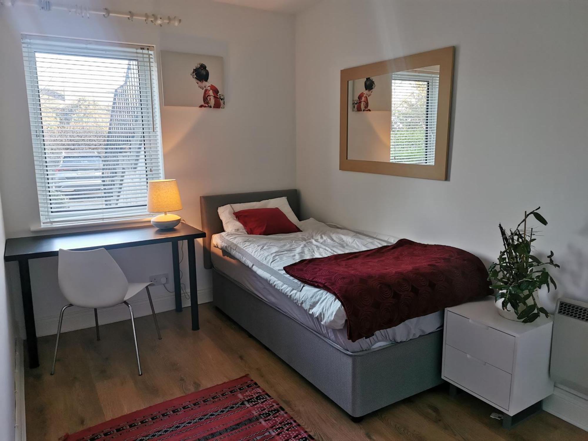 Single In Charming With The Terrace And The Cat In Sandymount