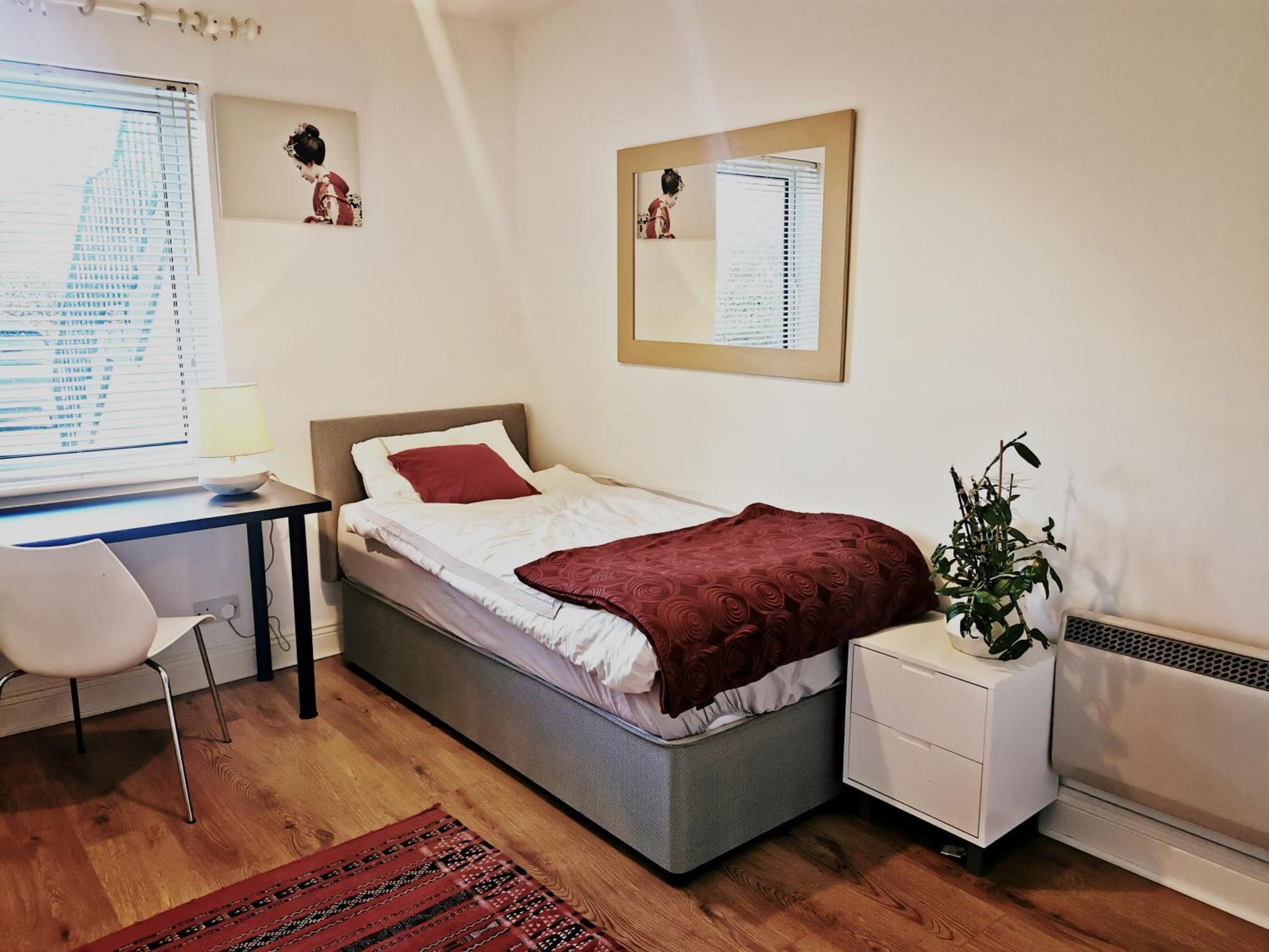 Homestay Single In Charming With The Terrace And The Cat In Sandymount Dublin