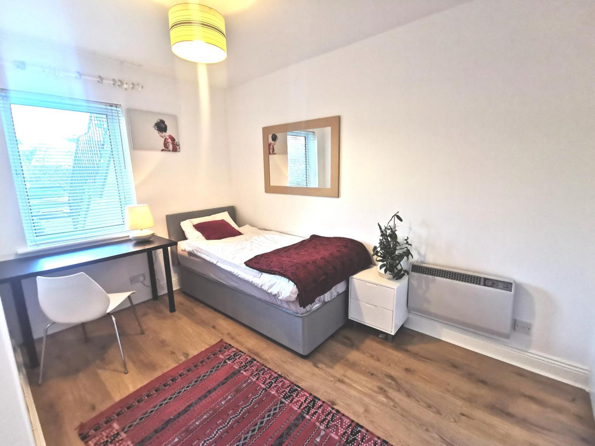 Single In Charming With The Terrace And The Cat In Sandymount *