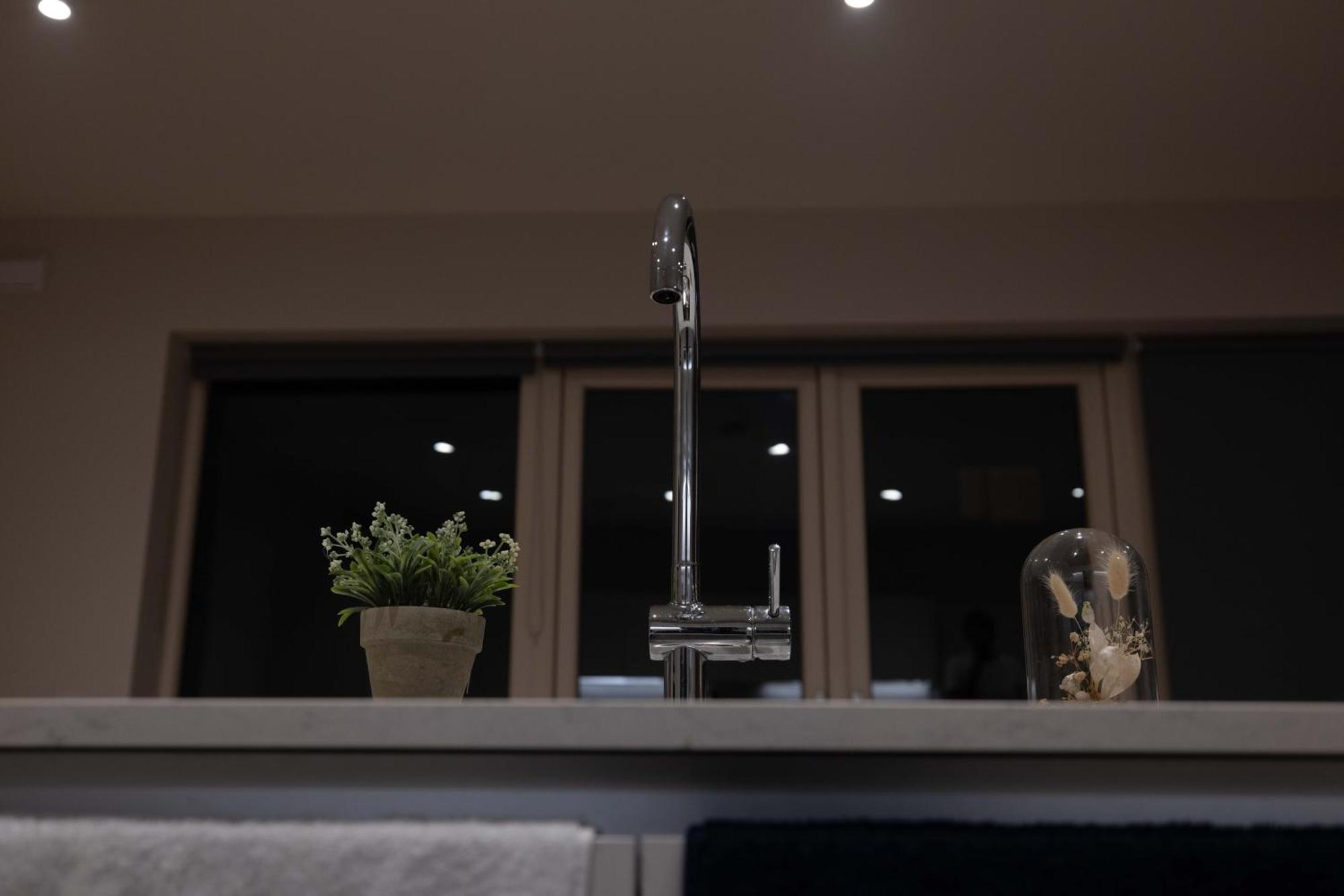 Homestay King With Garden View Dublin