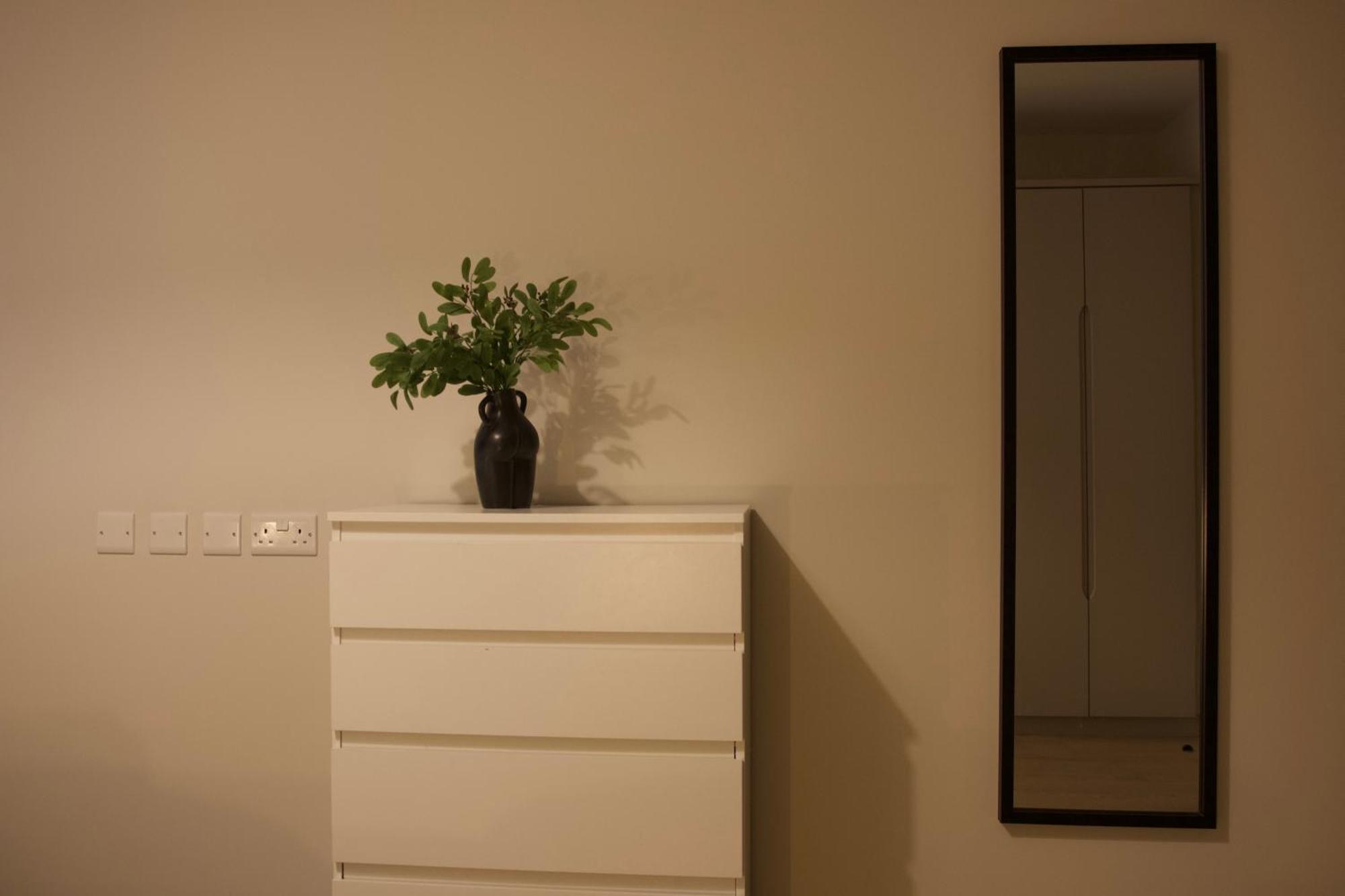 Homestay King With Garden View Dublin