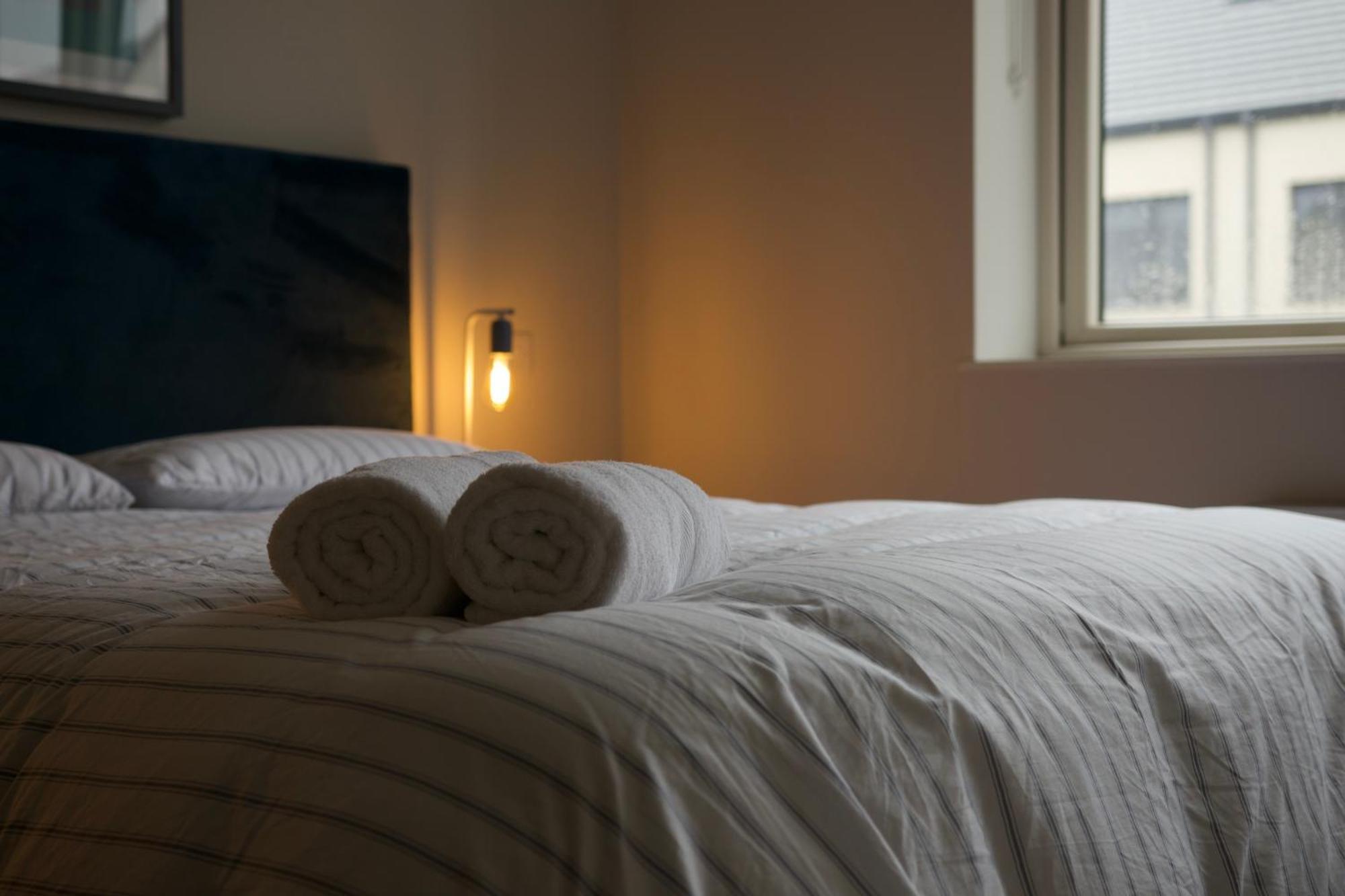 King With Garden View Homestay Dublin