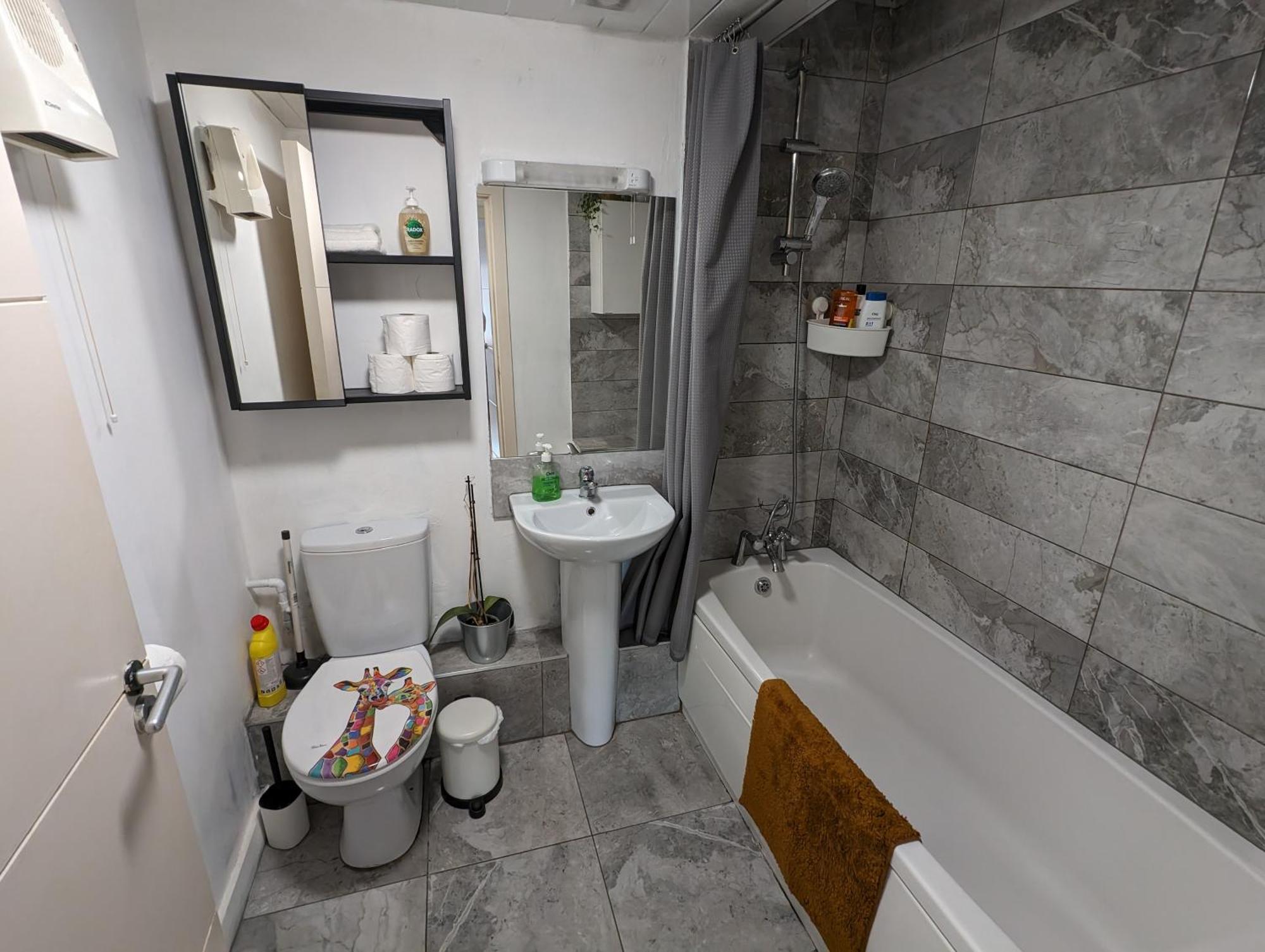 Spacious 3-bed In Center Dublin