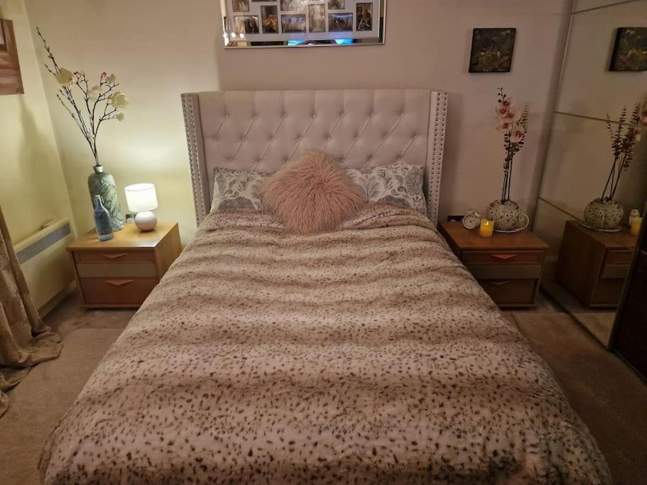 Trinity 2 Bed With Mezzanine Dublin