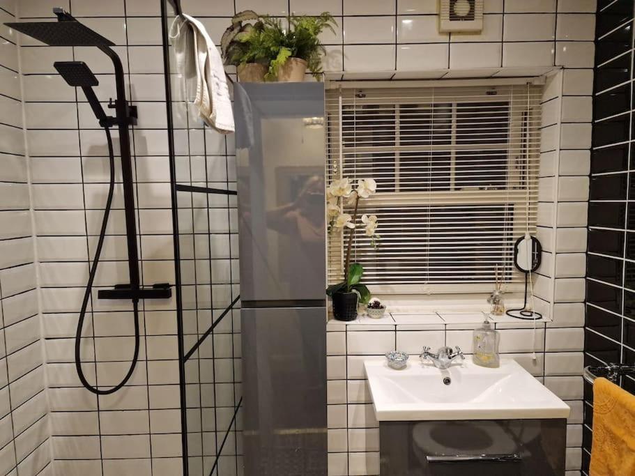 Trinity 2 Bed With Mezzanine Dublin