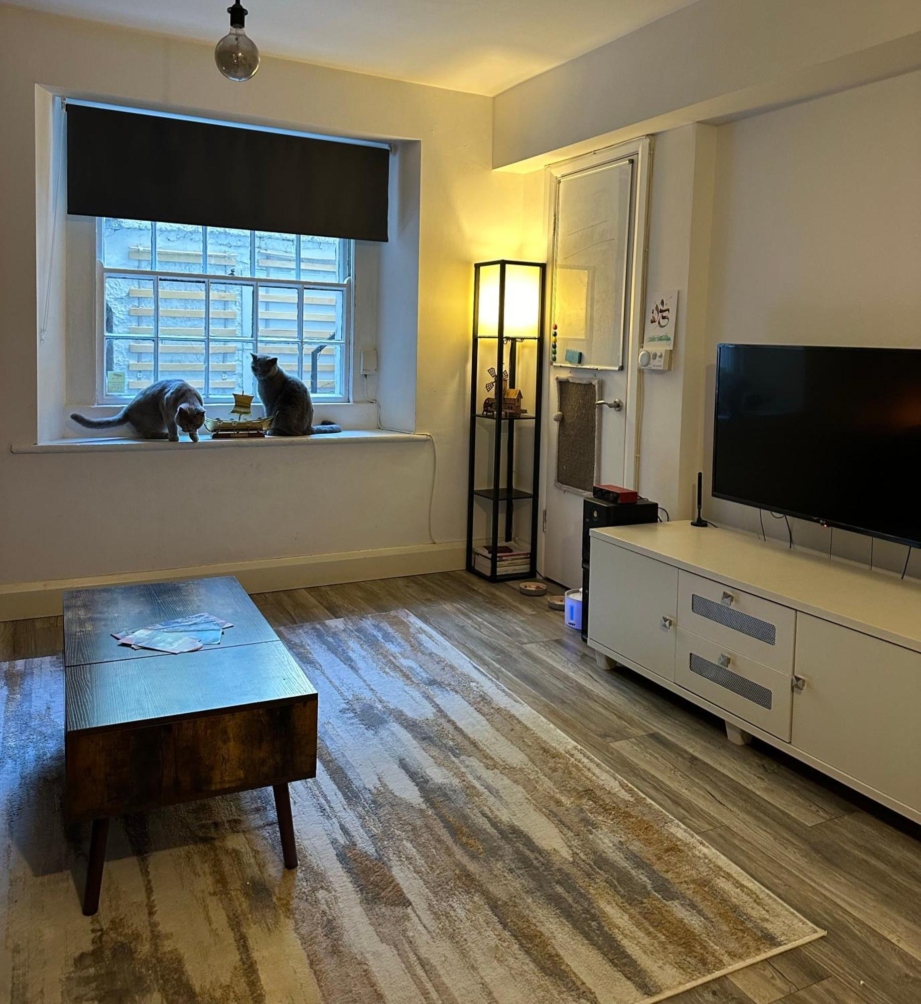 Entire In Apartment Dublin