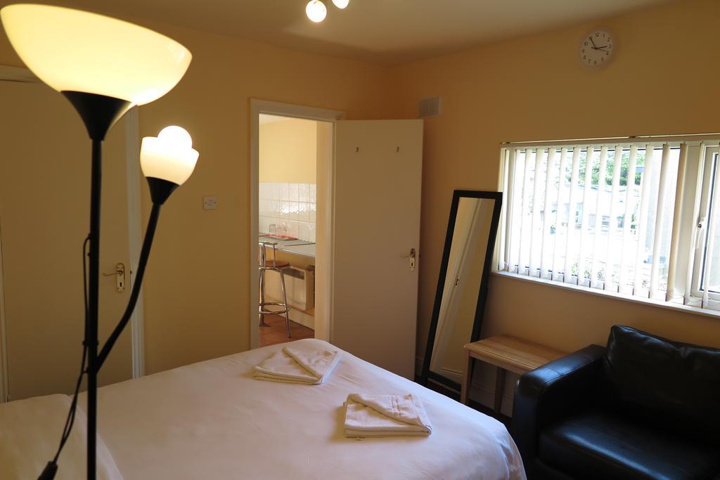 The Viking's House Apartment Dublin