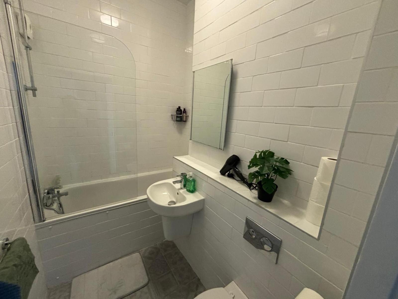 Apartment Temple Bar - Entire 2 Bedroom Dublin