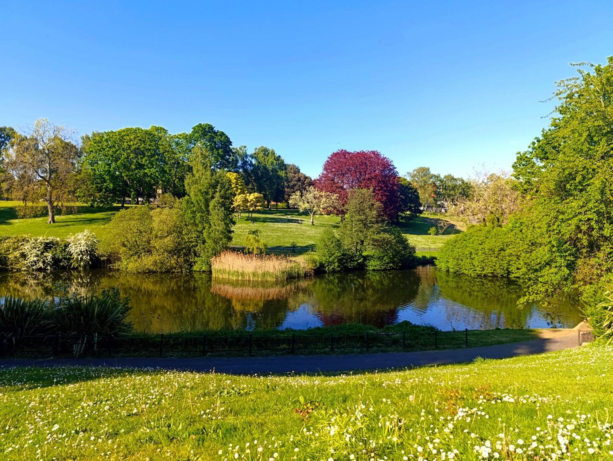 Superb Bellevue *