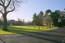 Imi Sandyford Guest house
