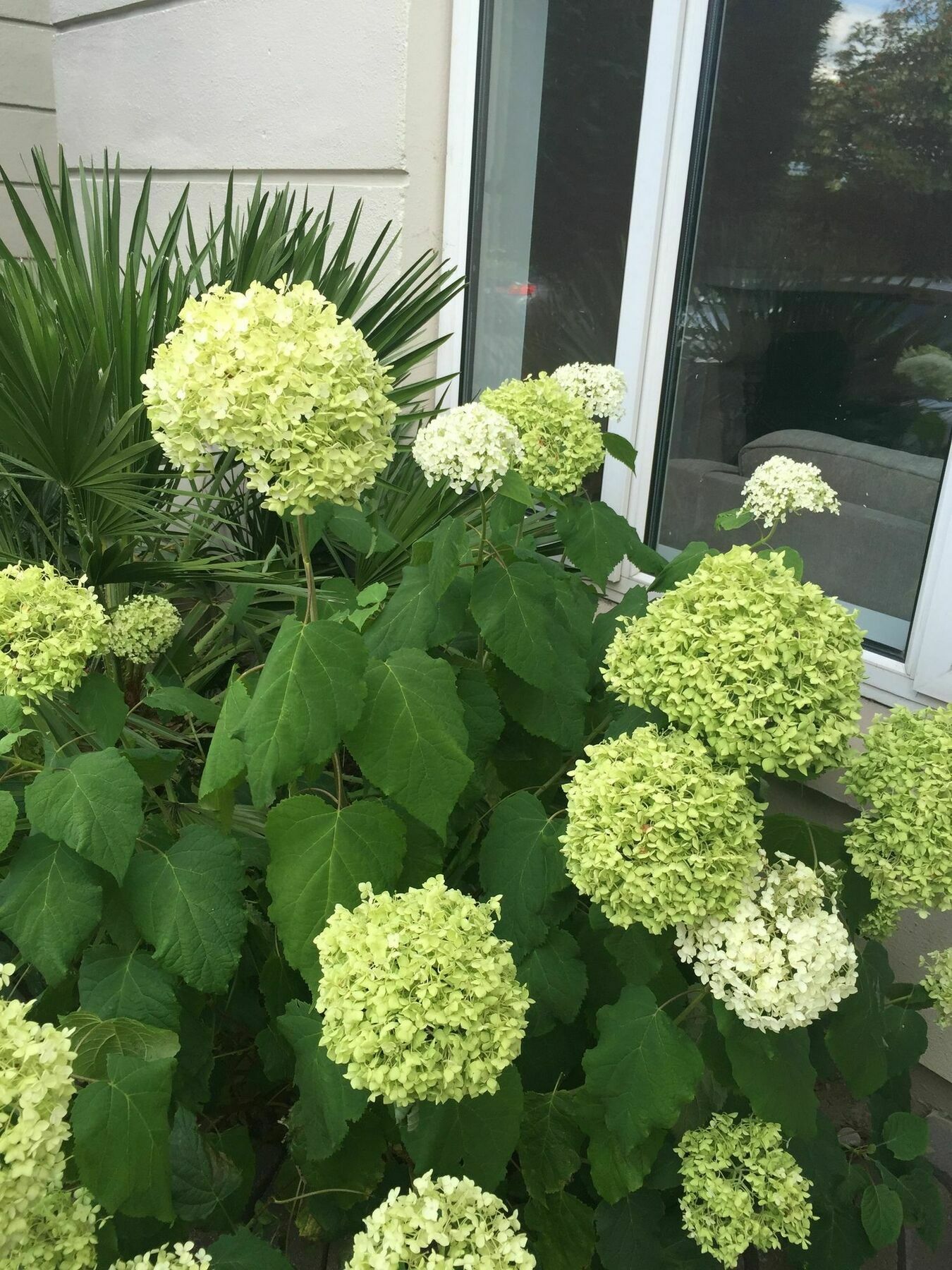 Apartment Docklands Self Catering Dublin