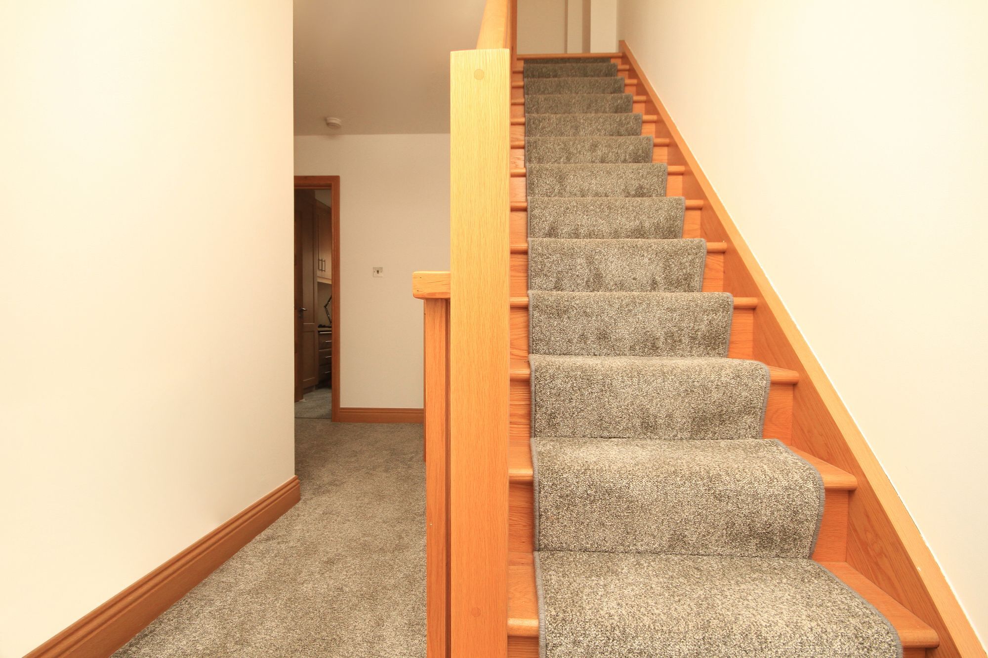 Macken Street Sleeps 10 Apartment Dublin