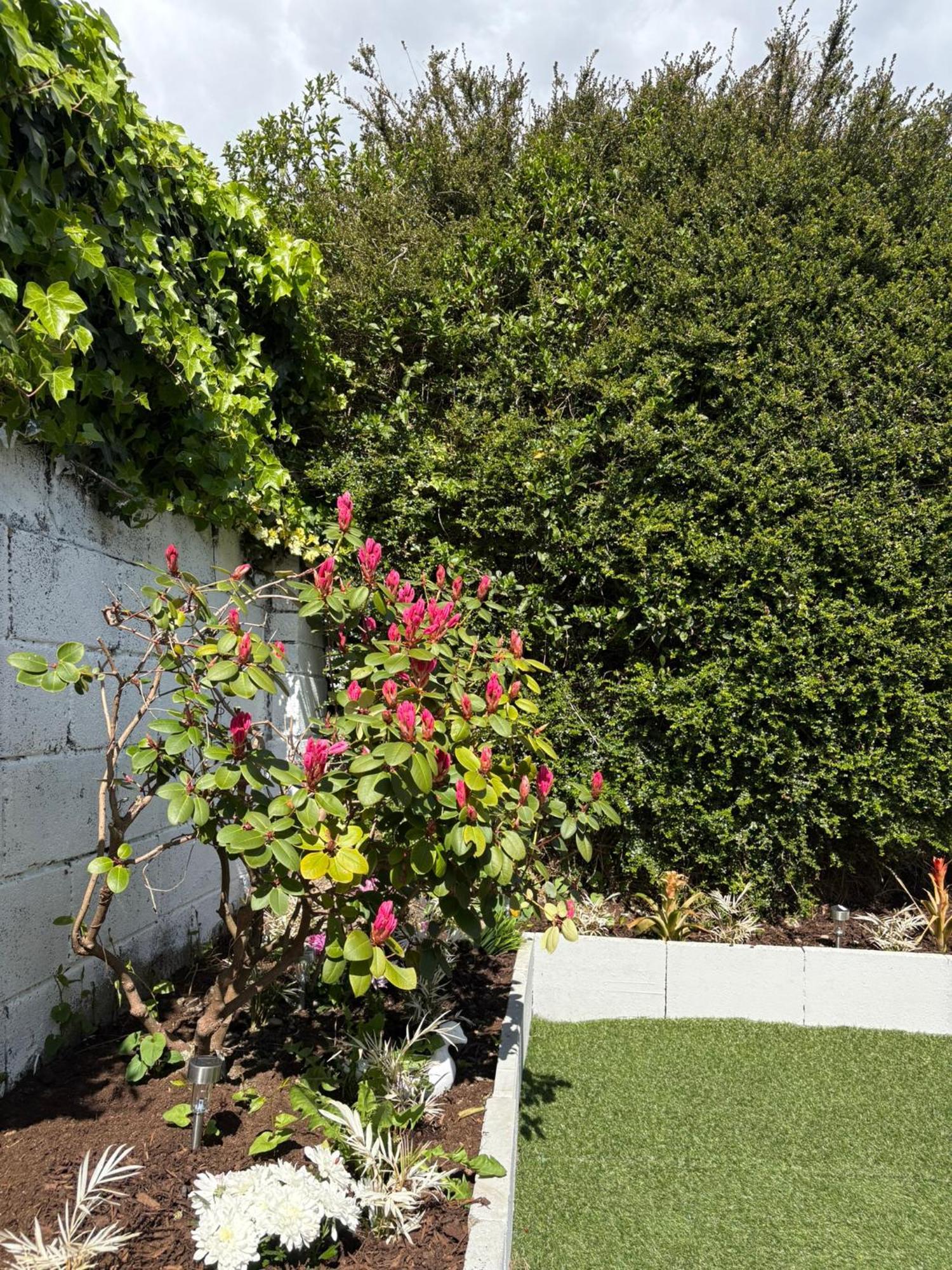Superb Triple Near Airport - 4 * Dublin