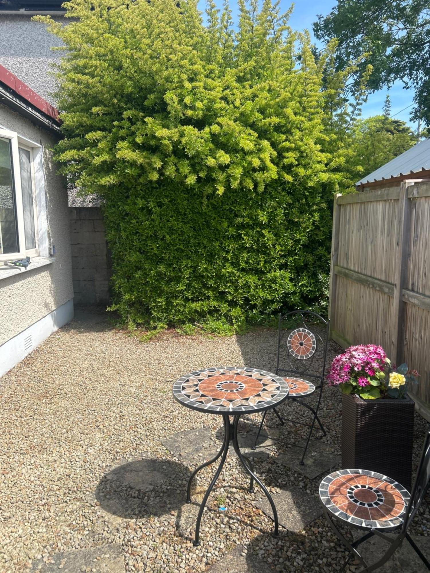 Small, Perfectly Formed Apartment Dublin
