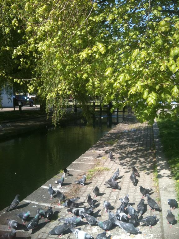Acara House B&B Dublin