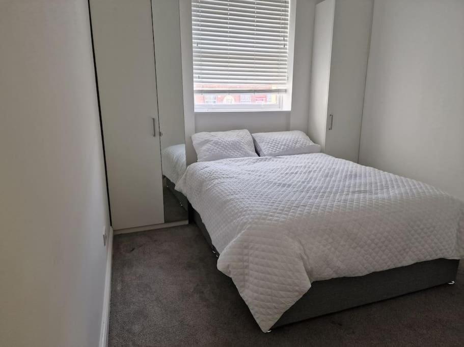 Snow White Beauty. Apartment Dublin
