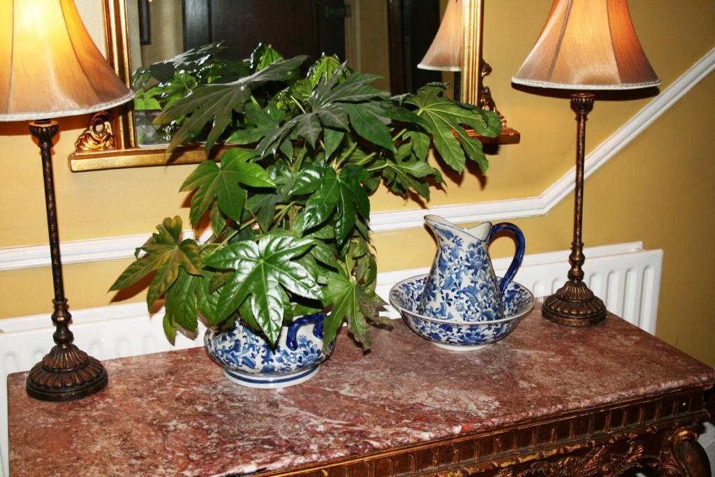 O'shea's Merchant Guest house Dublin